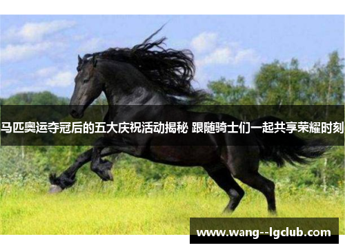 马匹奥运夺冠后的五大庆祝活动揭秘 跟随骑士们一起共享荣耀时刻